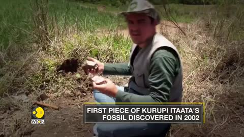 Kurupi Itaata- A New dinosaur species discovered in Brazil | WION English News