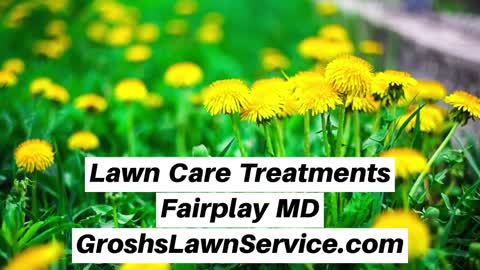 Lawn Care Treatments Fairplay MD Lawn Service