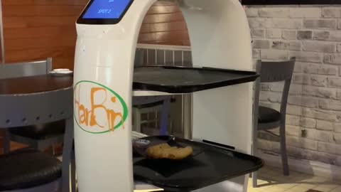 Harbin Dumpling On St-Denis Now Has A Spunky Robotic Waiter (VIDEO)