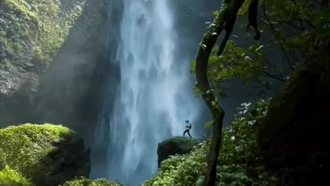 Beautiful Waterfall Nature