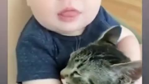 Babys Playing With Cats