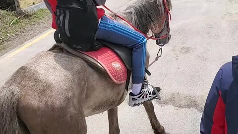 Horseback riding in Shymbulek Mountain