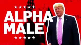 Alpha Male!