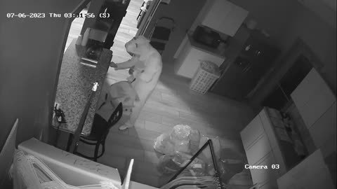 Illinois police ask for help identifying bunny-costumed laundromat burglar