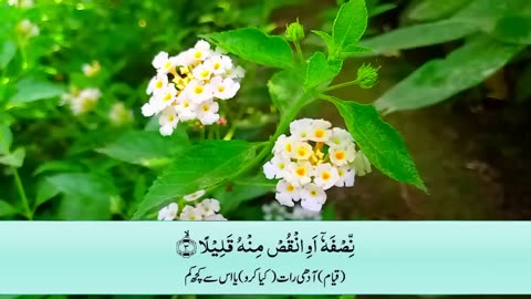 Surah Muzammil ( Al Muzammil ) with Urdu translation | Tilawat | Quran with Urdu Hindi Translation