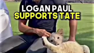 LOGAN PAUL supports TATE