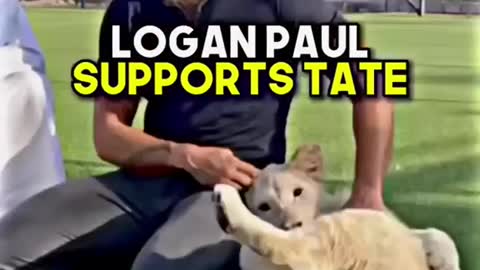 LOGAN PAUL supports TATE