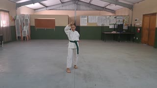 A31 - Jowaynia Vergotine - Green - Pinan Nidan