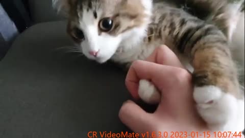 There was a finger and I bite