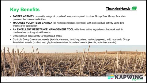 ThunderHawk Herbicide | Nufarm Canada