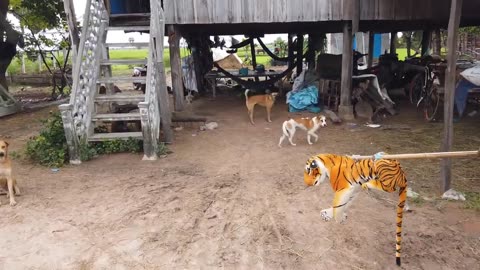 Funny tiger prank dog fake Lion and Fake Tiger Prank To dog | #funnyvideo #animalfunny #animal