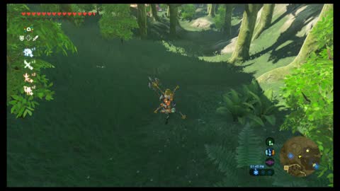 Zelda BOTW: Blurpee with Spear