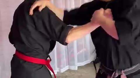 Hapkido