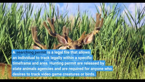 9 Easy Facts About A Beginner's Guide to Hunting Licenses and Permits in the United States Expl...