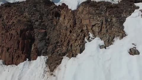Momma Bear & Cub Climbing Mountain - Cub is fearless/Momma Crushes it