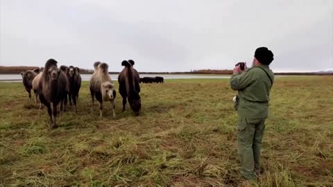 A father and son’s Ice Age plot to slow Siberian thaw