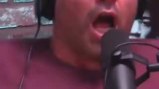 JOE ROGAN ANIMAL NOISES LOL!