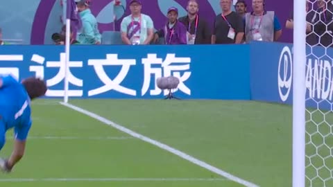 Fifa world cup highlight