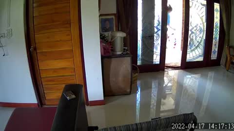 Snake Nearly Lands on Woman and Breaks into House