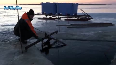 Amazing Giant fish fishing skill in the ice river