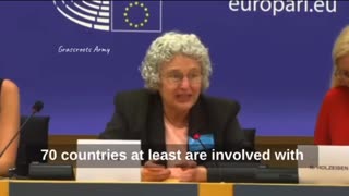 Dr Meryl Nass at European Parliament On WHO Takeover