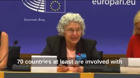 Dr Meryl Nass at European Parliament On WHO Takeover