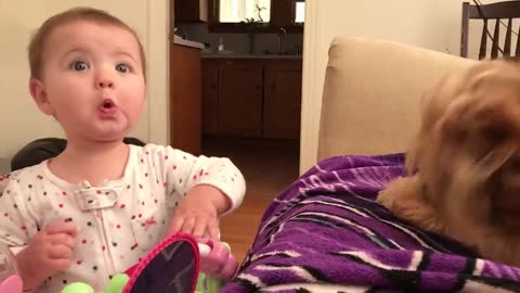 Cute Babies Playing With Dogs Compilation | Funny Baby And Pets