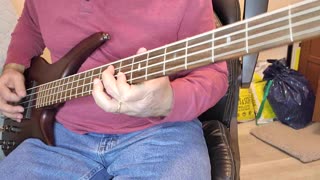 Nirvana - Come As You Are Bass Cover