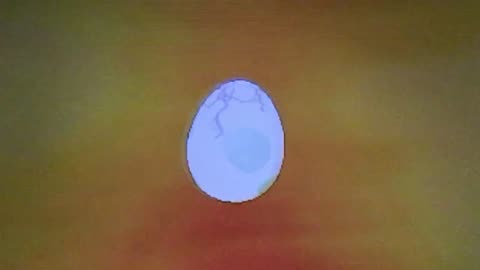 Pokémon X: Hatch An Egg!