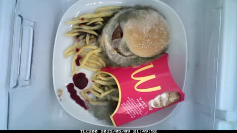 Food rotting - Big Mac with fries