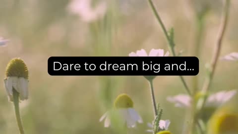 Dare to dream big and..