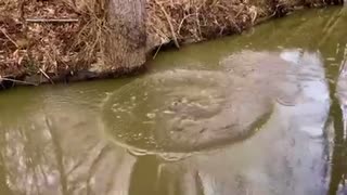 Ohio Polluted Water