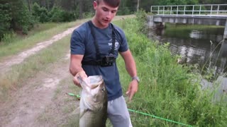 12lbs Catching My BIGGEST Bass EVER (Bank Fishing)