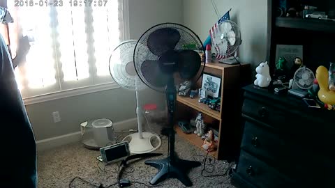 Does this Honeywell Quietset 16" pedastal fan I found in the trash still work?