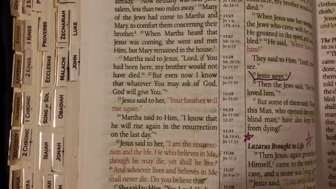 John 11 - MEV Bible