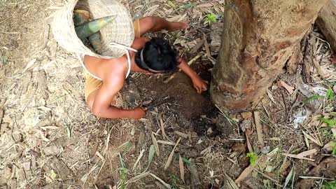 Survival In The Rainforest - BAMBOO SHOOTS - CUTE PARROT - BEES