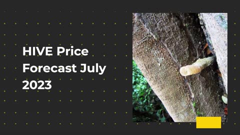 Hive Price Prediction 2023 HIVE Crypto Forecast up to $0.59
