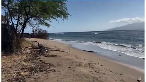 Maui fire update: 2,000 children still MISSING