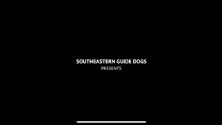 Short animated film Guide dogs
