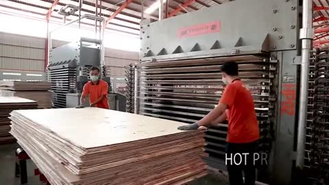 Crazy Wood Processing Machines | Biggest Wood Cutting Factory | Sawmills