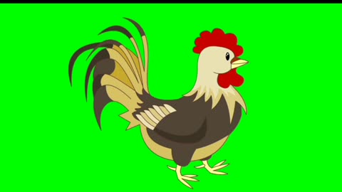 Ayam menari HD