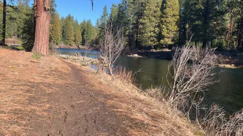1-Minute of Peace & Quiet River Shoreline Hiking – Metolius River – Central Oregon