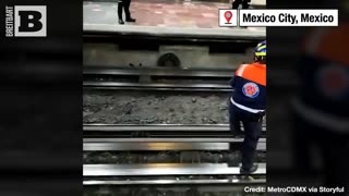 No Place to Play Chicken! Subway Traffic Grinds to Halt as Chicken Gets Loose on Mexico City Tracks