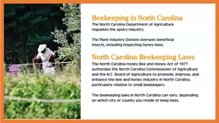 Bee Supplies North Carolina