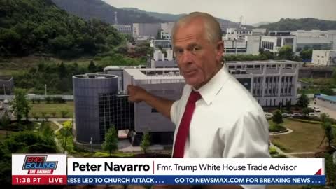 Dr Peter Navarro: 'Fauci will confess to creating the virus' *See Description*