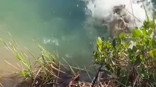 thrilling fishing against big fish