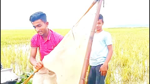 Bangladesh villages fishing #villagefishing#Bangladesh #theboy