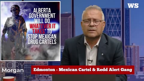 Alberta government will do 'whatever it takes' to stop Mexican drug cartels