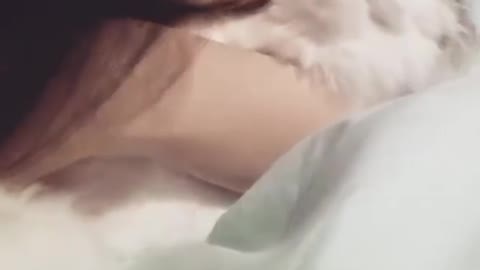 Beautiful girl kissing beautiful cat