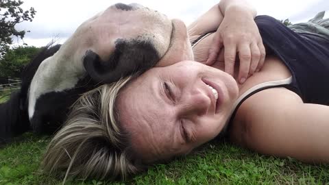 Woman Likes To Take A Nap With Her Holstein Cow